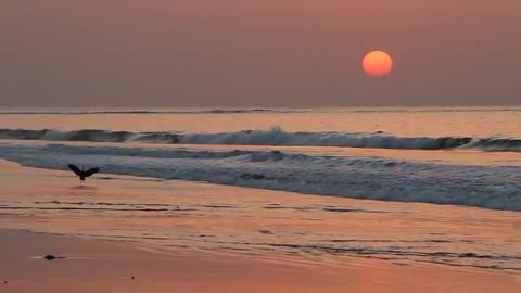 Waves at Sunset