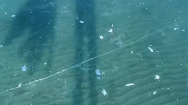 Walk on a frozen lake