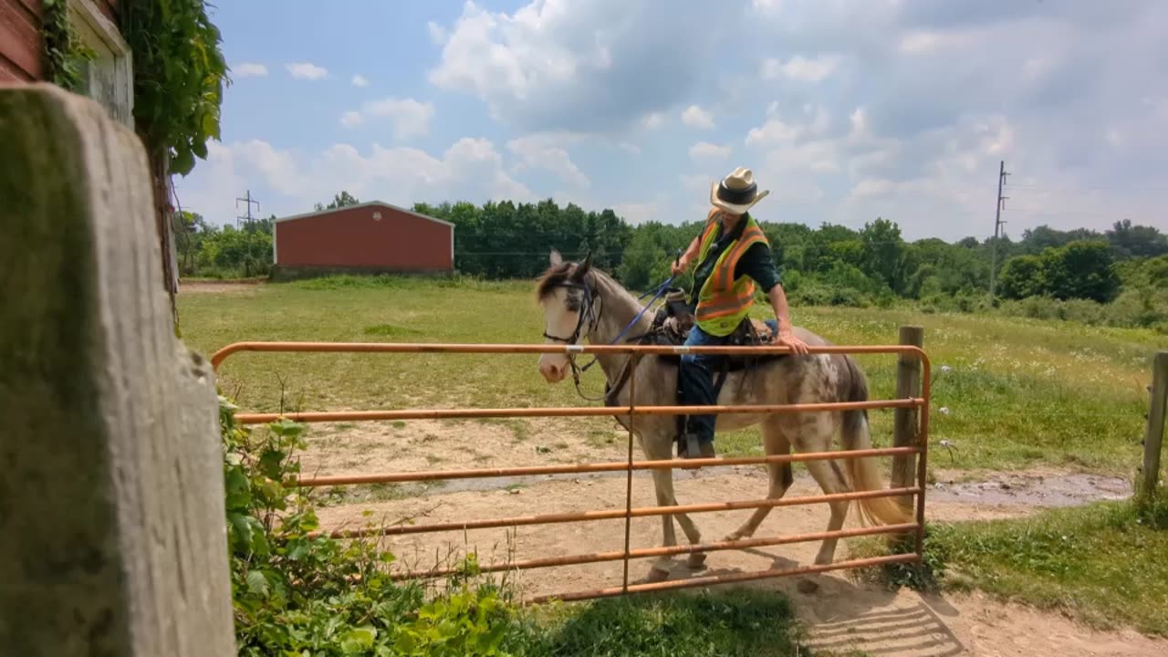 Reign - practical test of lateral movements - working the gate four ways 21 June 2024