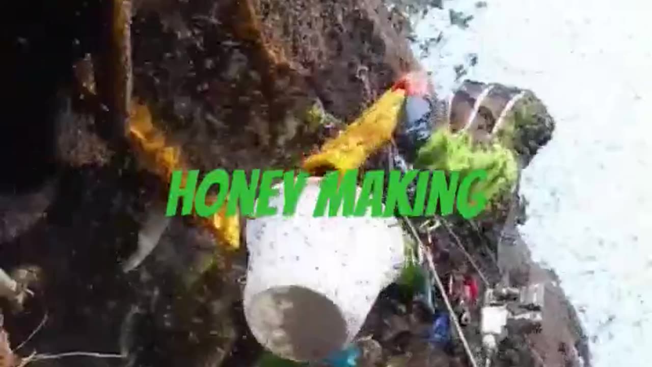 Honey making