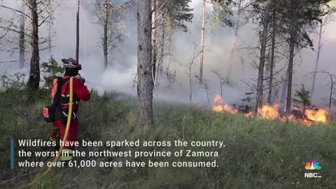 Heat Wave In Spain Sparks Raging Wildfires