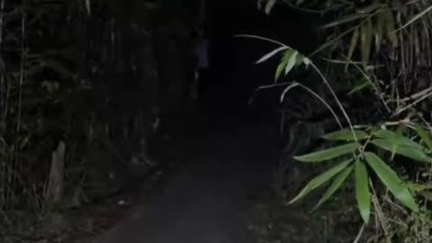 Ghost on camera paranormal activity part 124