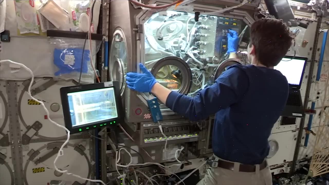 "Cosmic Homestead: Astronauts' Earthly Odyssey"