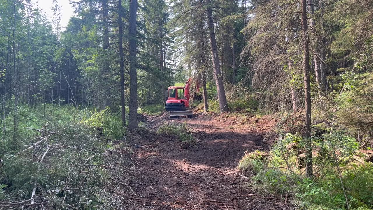 Equipment Operator Spots Bigfoot In The Forest While Clearing Fire Trails