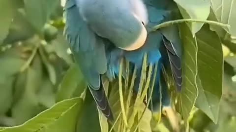 How to make it for now and then I can do