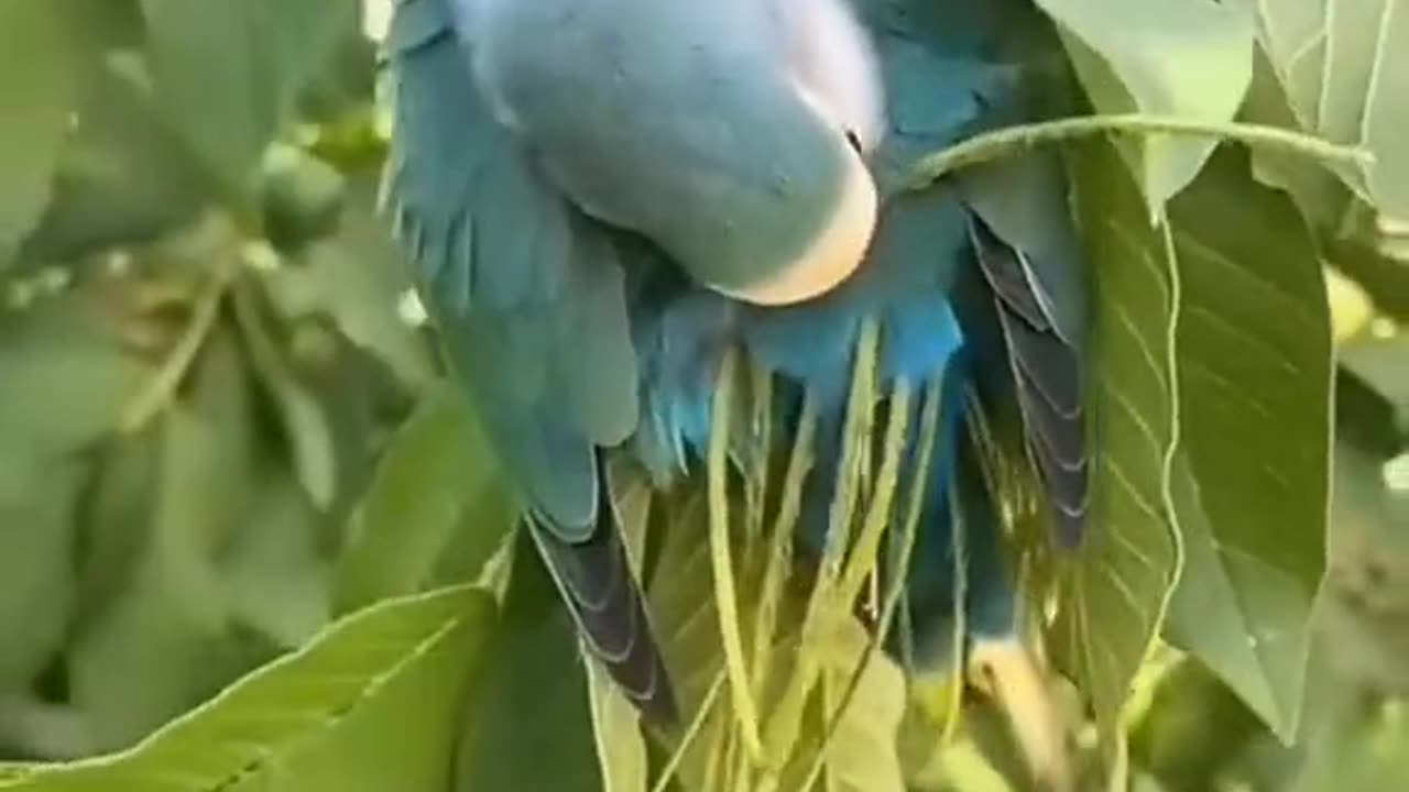 How to make it for now and then I can do