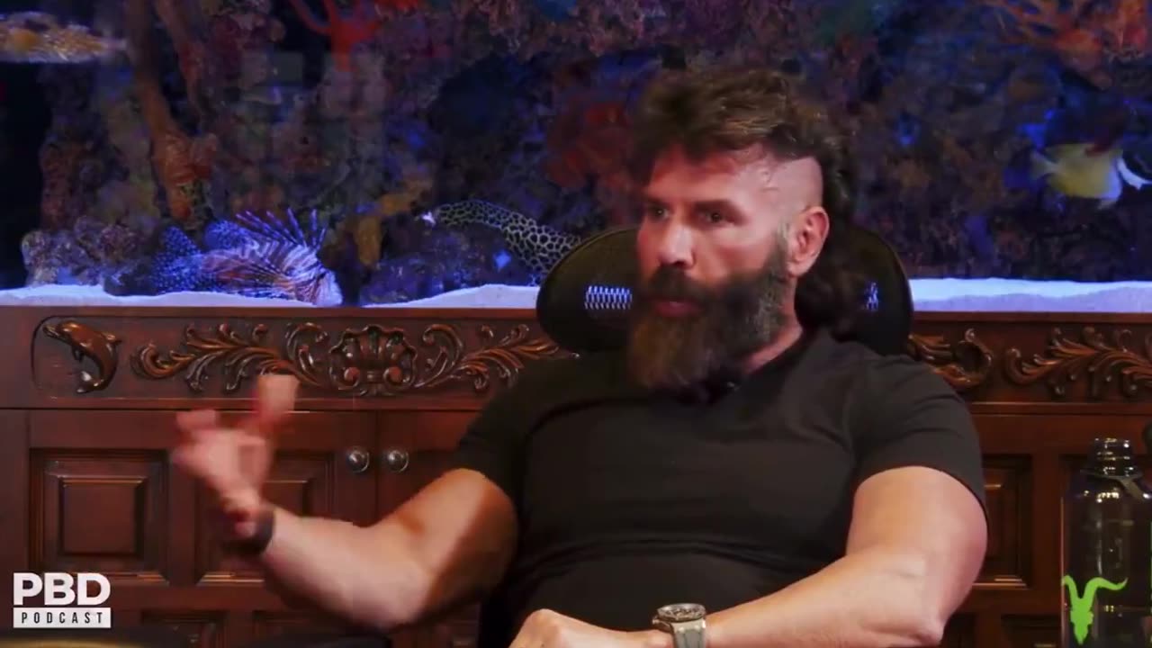 🇮🇱 🇵🇸 Dan Bilzerian debates Patrick Bet-David on Israel's war with Palestine.