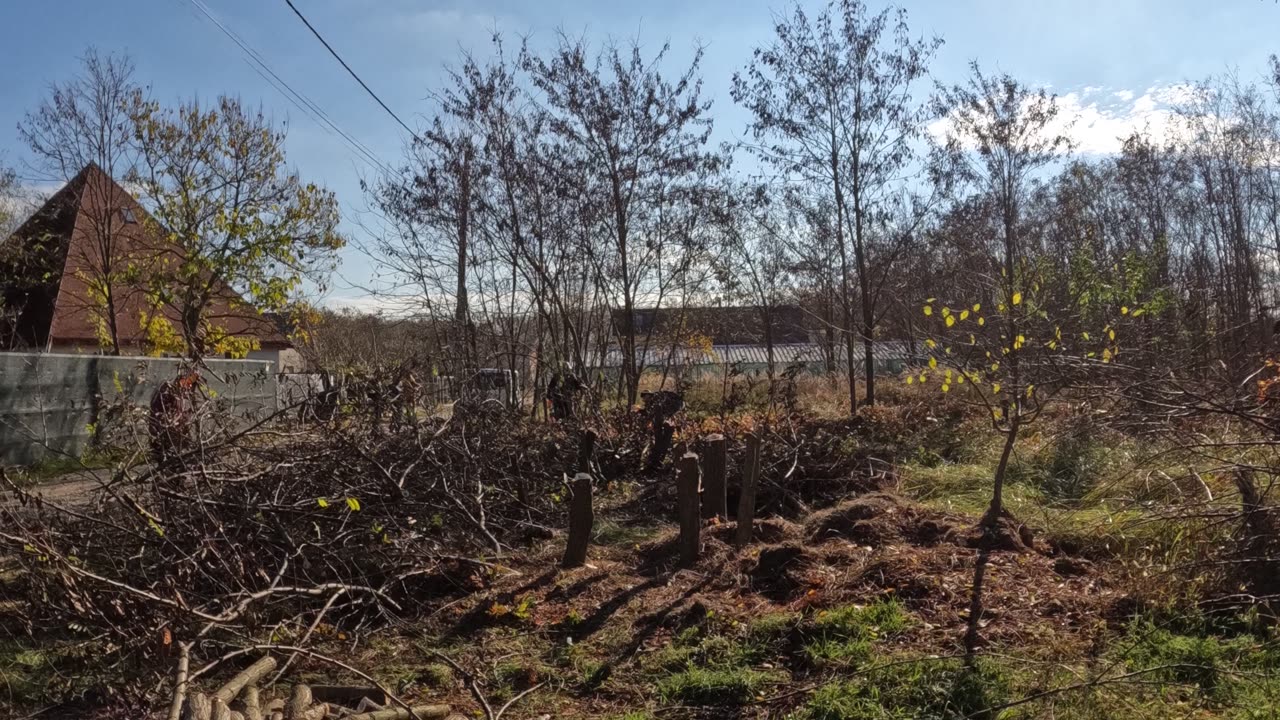 Time-lapse - Clearing the land Part 1