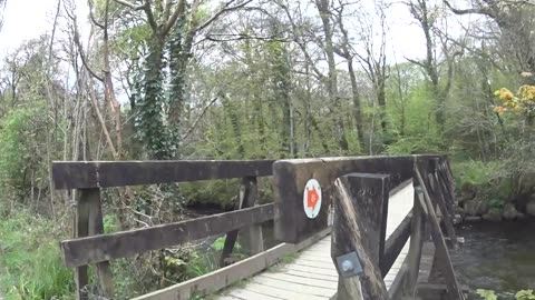 A Modern wooden bridge across the river Fowey at Respryn near Bodmin, UK