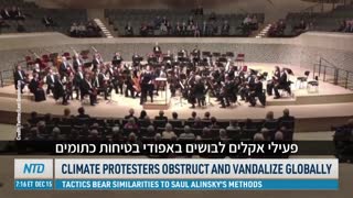 המחאות והוונדליזם של פעילי אקלים ברחבי העולם