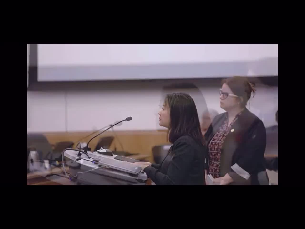 This Is The Democrats In True Form