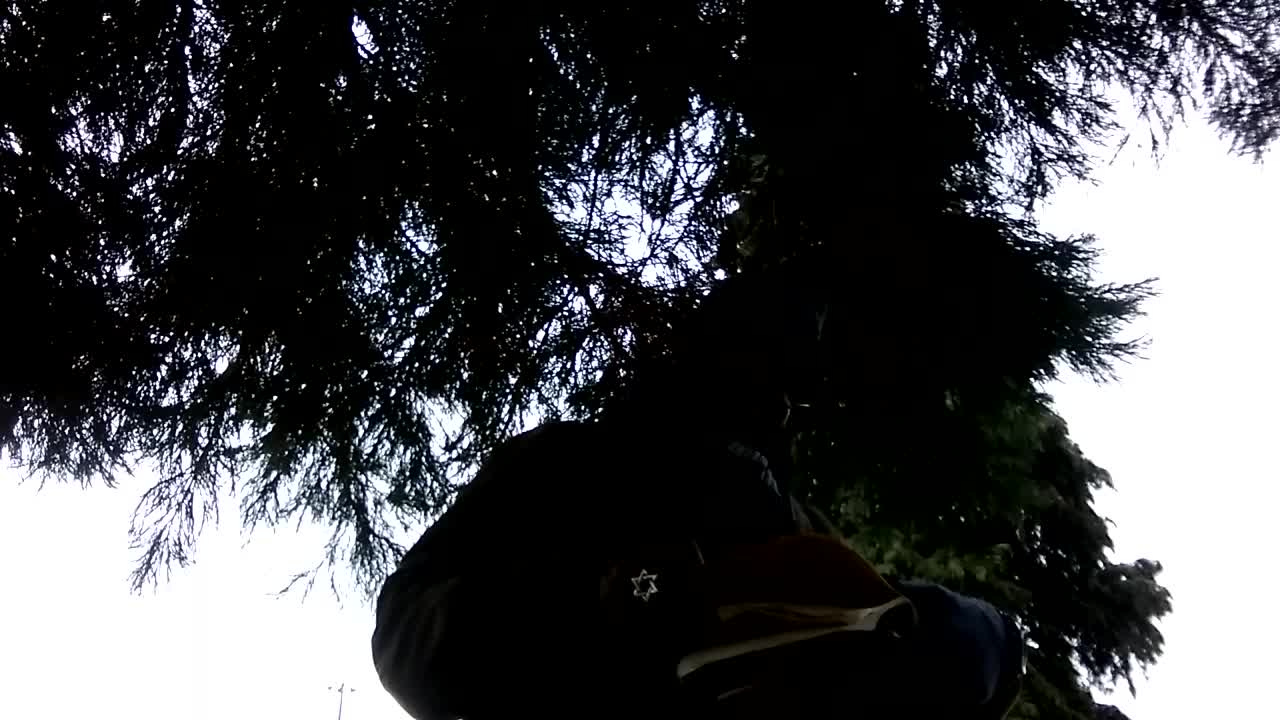 END TIMES PERLIOUS TIMES!!!!!!!! 11/15/2019