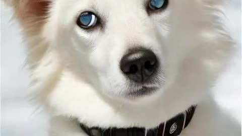Friend