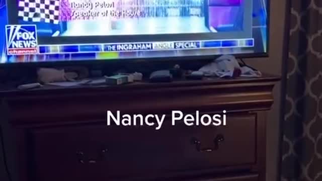 Drag Queen Pelosi???