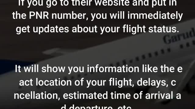 Garuda Indonesia Flight Information.