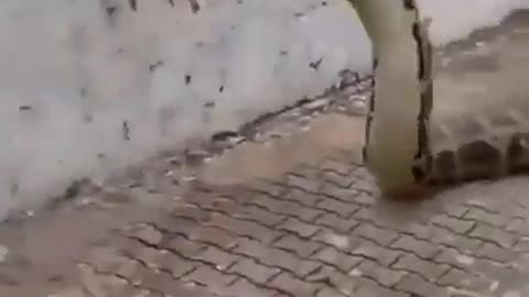 🏃‍♂️ run!