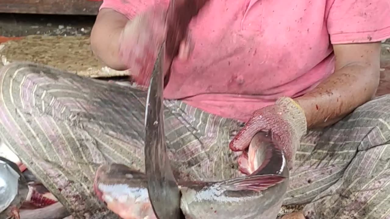 Pangas Fish Live Video In Market#shorts