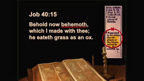 Scientific Reasons We Can Trust the Bible - Russ Miller