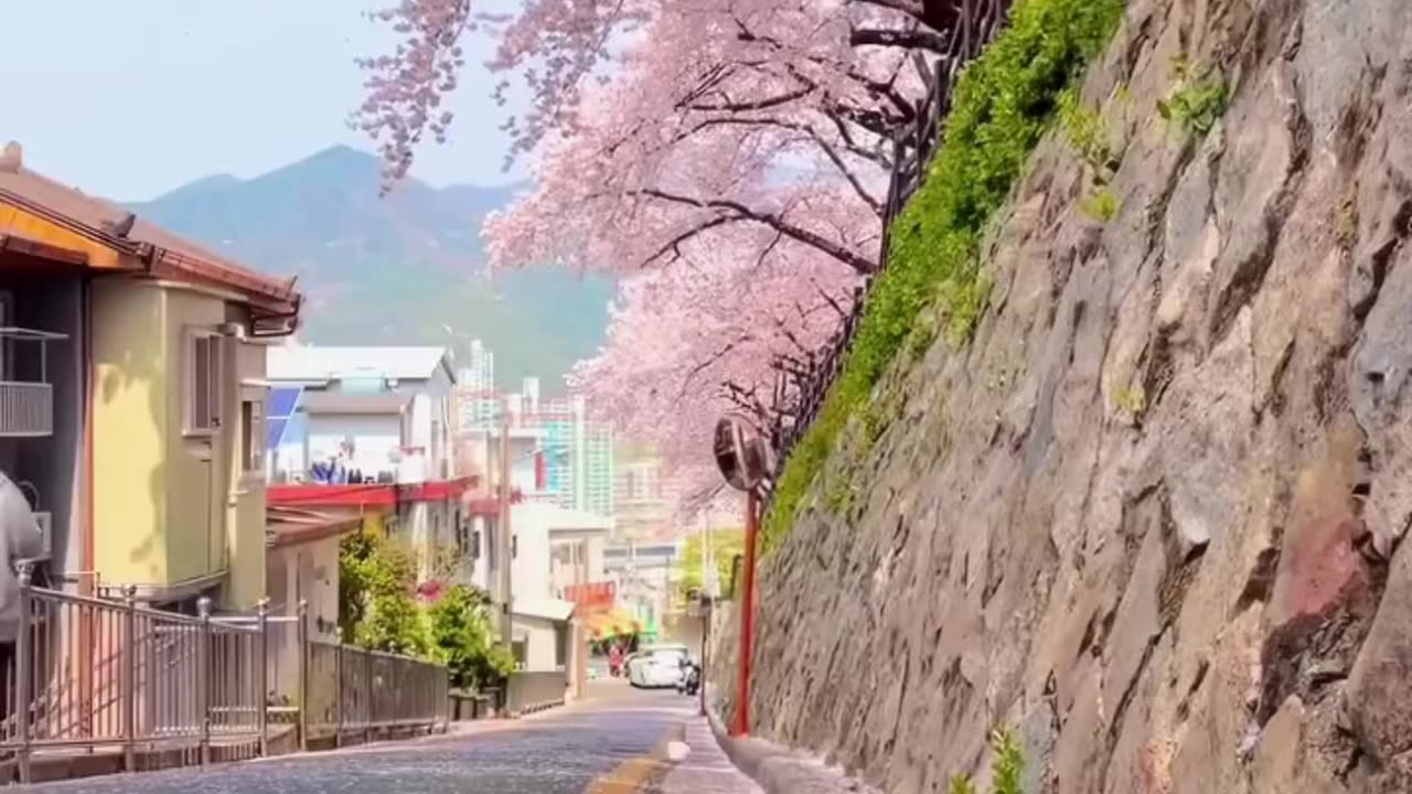 Amazing Nature beauty video😍