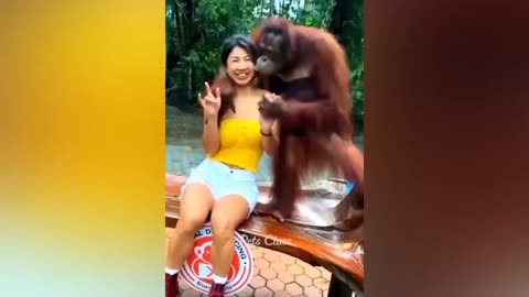 Funniest Animals Video 2023 - Funny Cat 😺