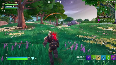 Fortnite