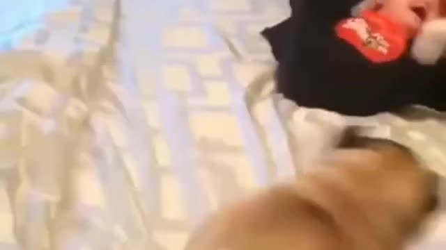 Baby doll step by step dancing, enjoying with dog