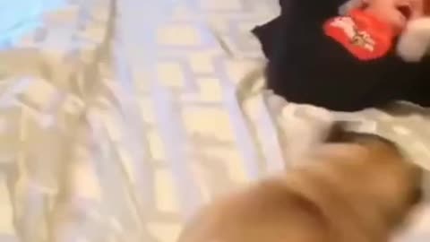 Baby doll step by step dancing, enjoying with dog