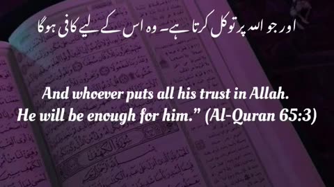 Quran recitation | QURAN Translation | islamic videos