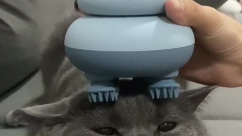 11_45170_火鸡喵喵叫_这就是猫咪灵魂提取器吗 后面的客人要是实在排不上号 考虑来店里当学徒吗 做一个小托尼