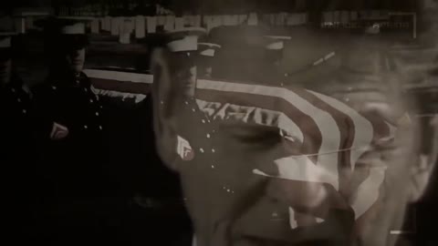 freedom 1981