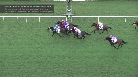 Horse_Race_2022060509_Chinese