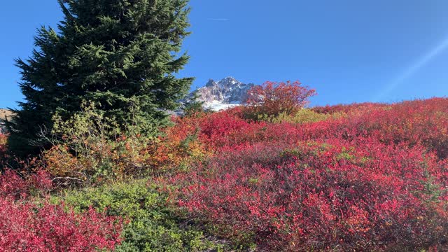 Oregon – Mount Hood – Autumnal Equinox Excellence – 4K