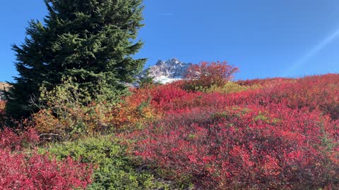 Oregon – Mount Hood – Autumnal Equinox Excellence – 4K