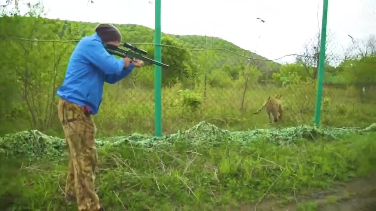 Animals Being Freed For The First Time !6