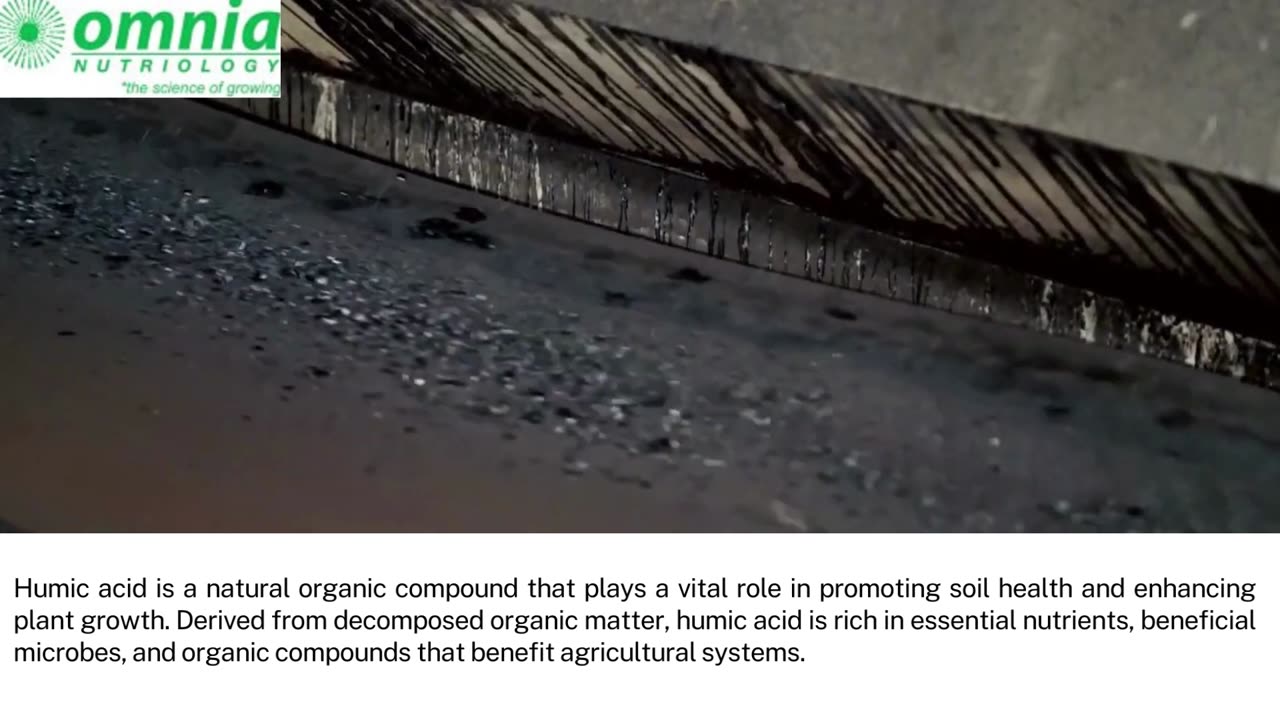 Unleashing the Potential of Humic Acid | Boost Soil Health and Plant Vitality