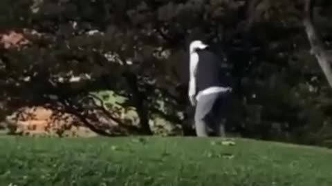 Golfing Takes Serious Focus