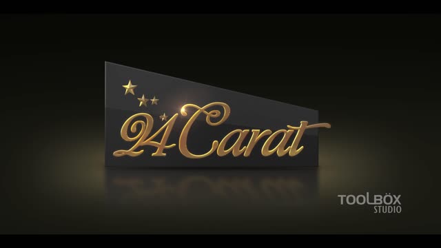 Corporate Video 24 Carat Entertainment Logo Toolbox Studio