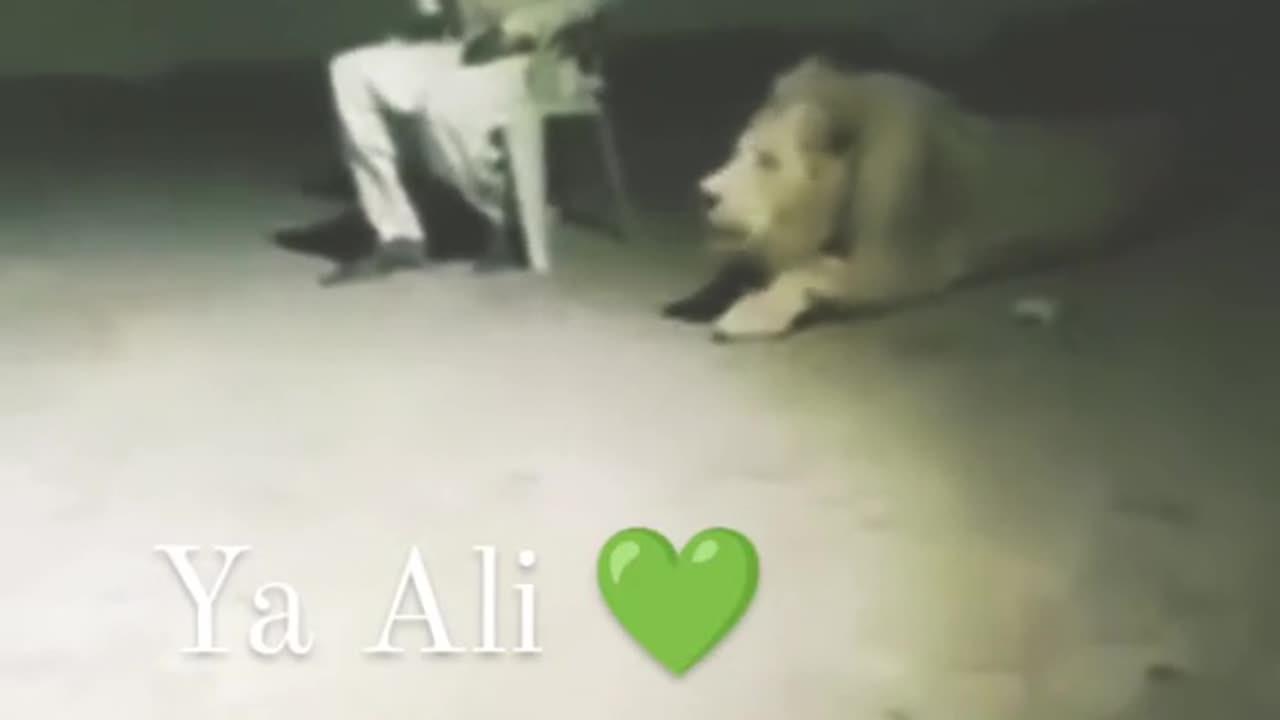 Yaa_Ali_haq_Ali_❤️❤️❤️❤️.mp4