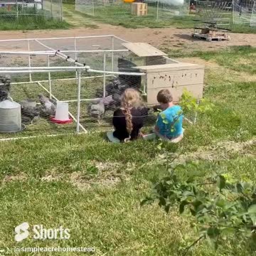 Capturing a moment on the homestead.