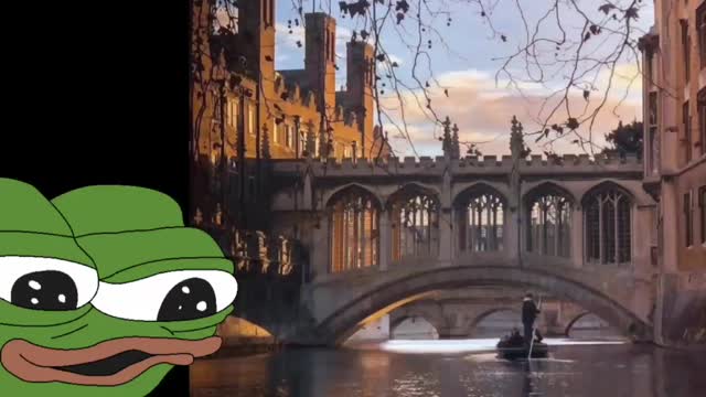 Pepe Old World Architecture vs New