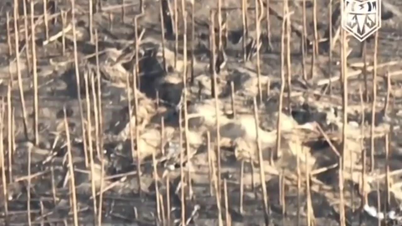 ππΊπ¦ Ukraine Russia War | Ukrainian Drone Infiltrates Russian Dugout | RCF