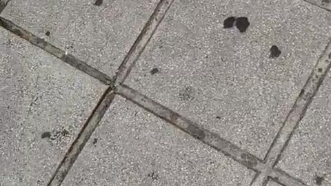 ιδηροδρομικός σταθμός Θεσσαλονίκης. Συγγενείς και φίλοι κλαίνε και περιμένουν.