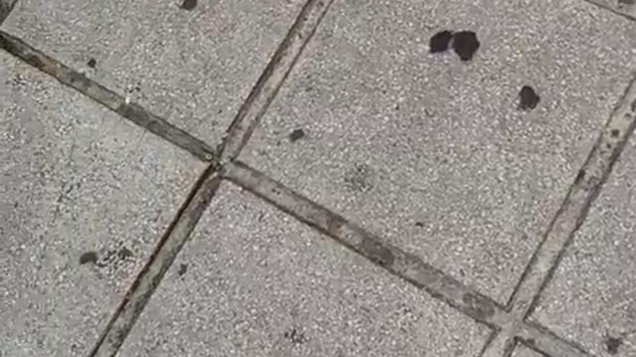 ιδηροδρομικός σταθμός Θεσσαλονίκης. Συγγενείς και φίλοι κλαίνε και περιμένουν.