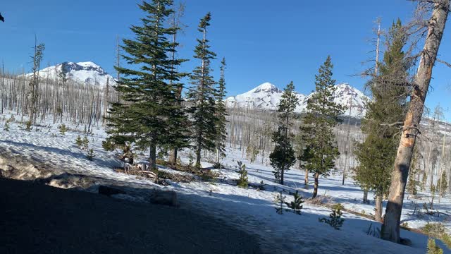 Jeff View Log Cabin Shelter Area – Central Oregon – 4K