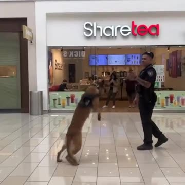 Slackin' Off At Work