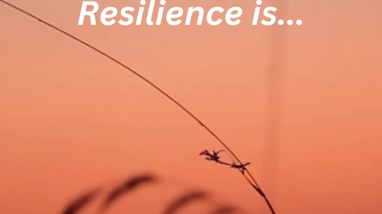 Motivational Quote - Resilience