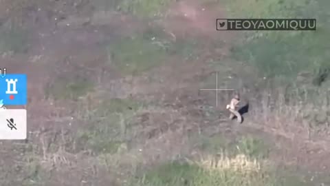 Multiple FPV strikes on Russian Infantry in a field- Graphic