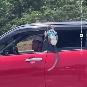 Baby monkey Bon Bon Dancing on The Car - Joy Funny Factory