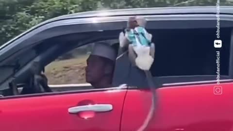 Baby monkey Bon Bon Dancing on The Car - Joy Funny Factory