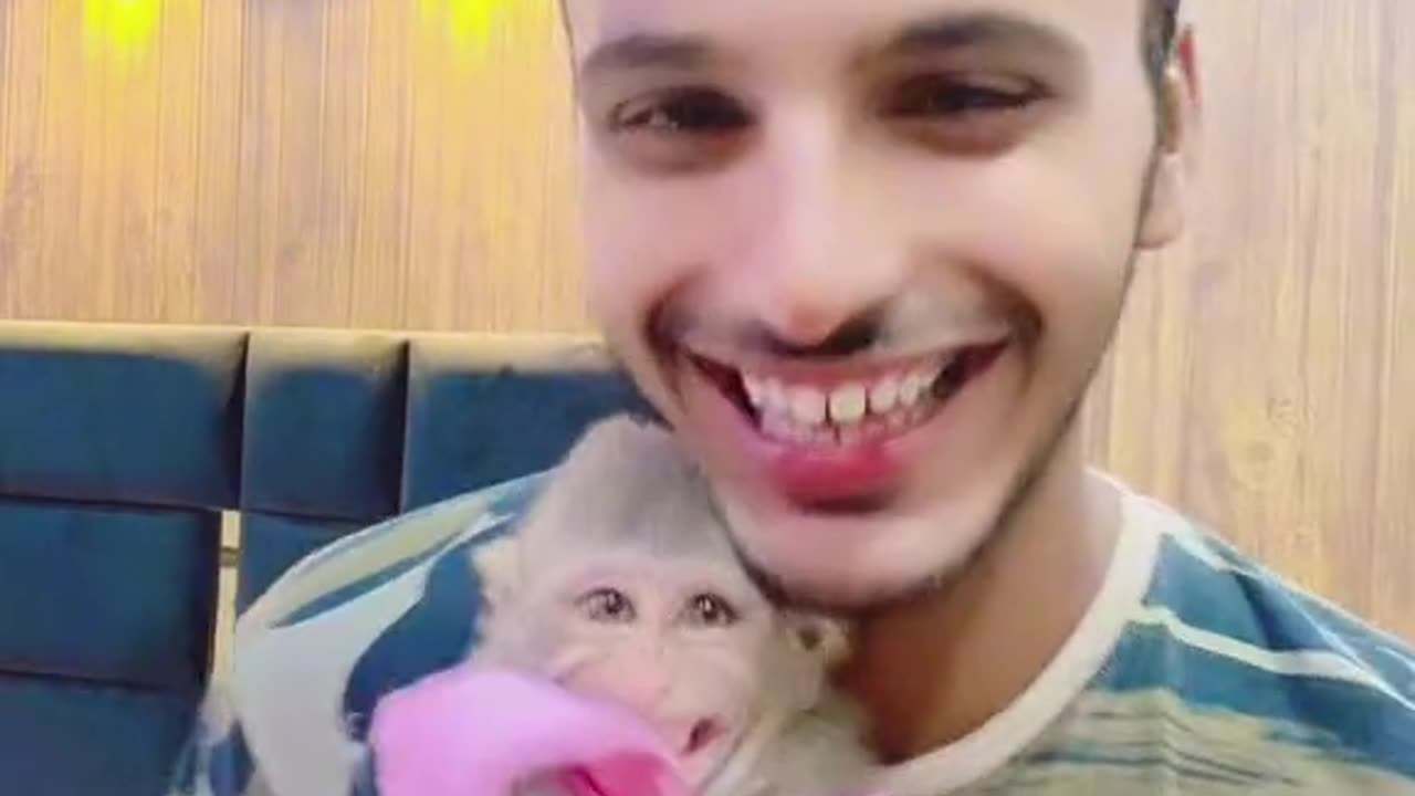 Monkey